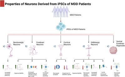 The use of induced pluripotent stem cells as a platform for the study of depression